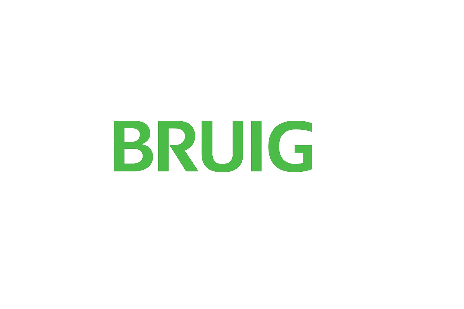 BRUIG Unternehmensberatung